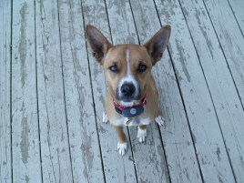 Classic-Jeff-on-deck